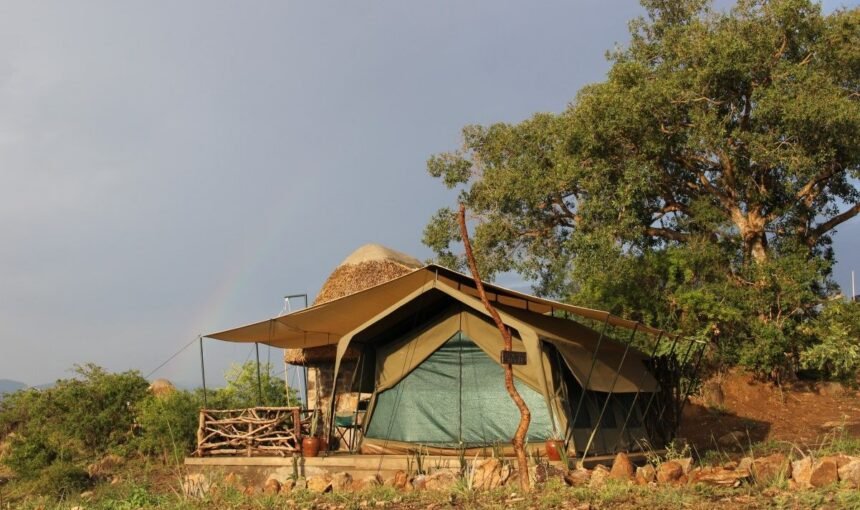 Kidepo Savannah Lodge cottages blending with the savannah landscape