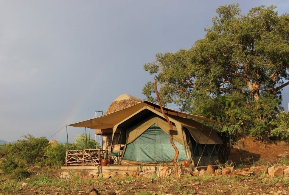 Kidepo Savannah Lodge cottages blending with the savannah landscape