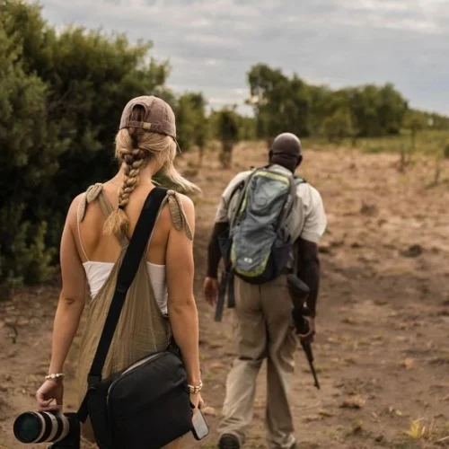 Wildlife Safari in Rwanda and Uganda