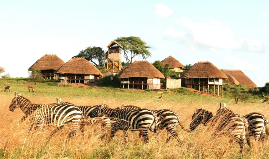 Apoka Safari Lodge cottages in Kidepo Valley National Park