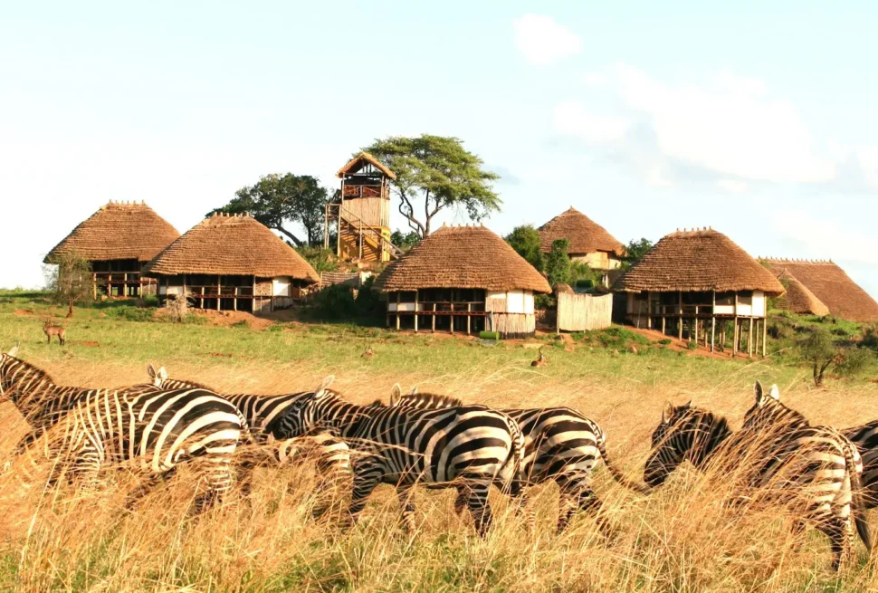 Apoka Safari Lodge cottages in Kidepo Valley National Park