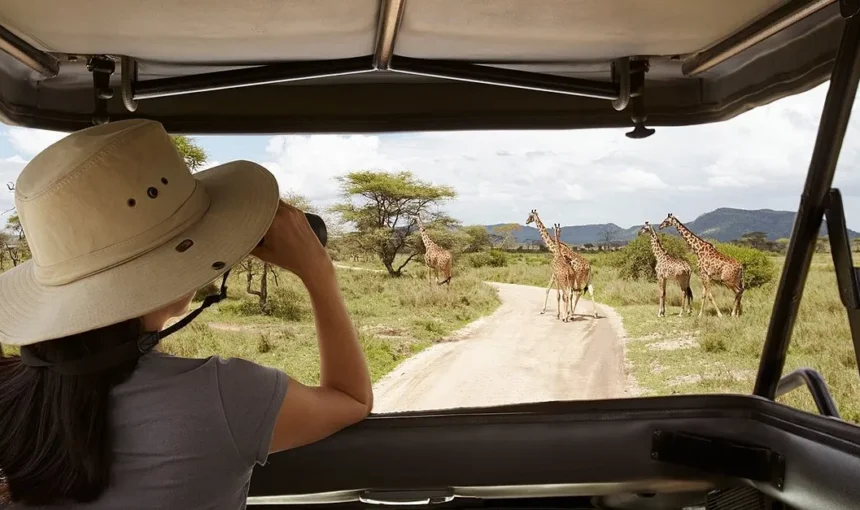 Safari in Akagera National Park