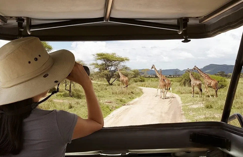 Safari in Akagera National Park