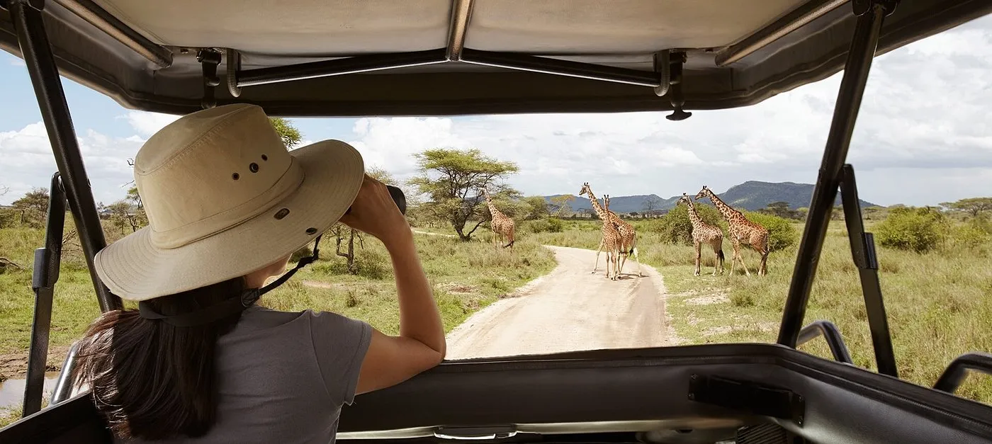 Safari in Akagera National Park