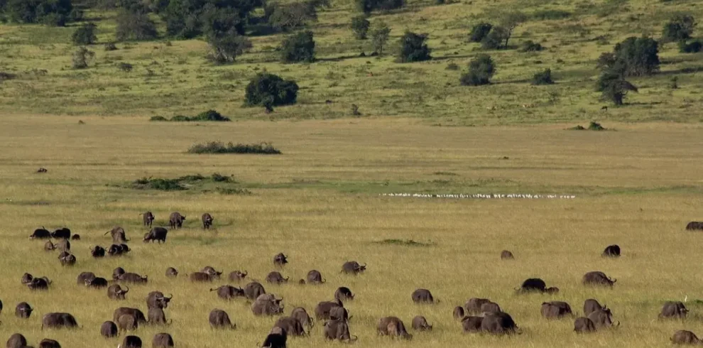 Akagera NP plains