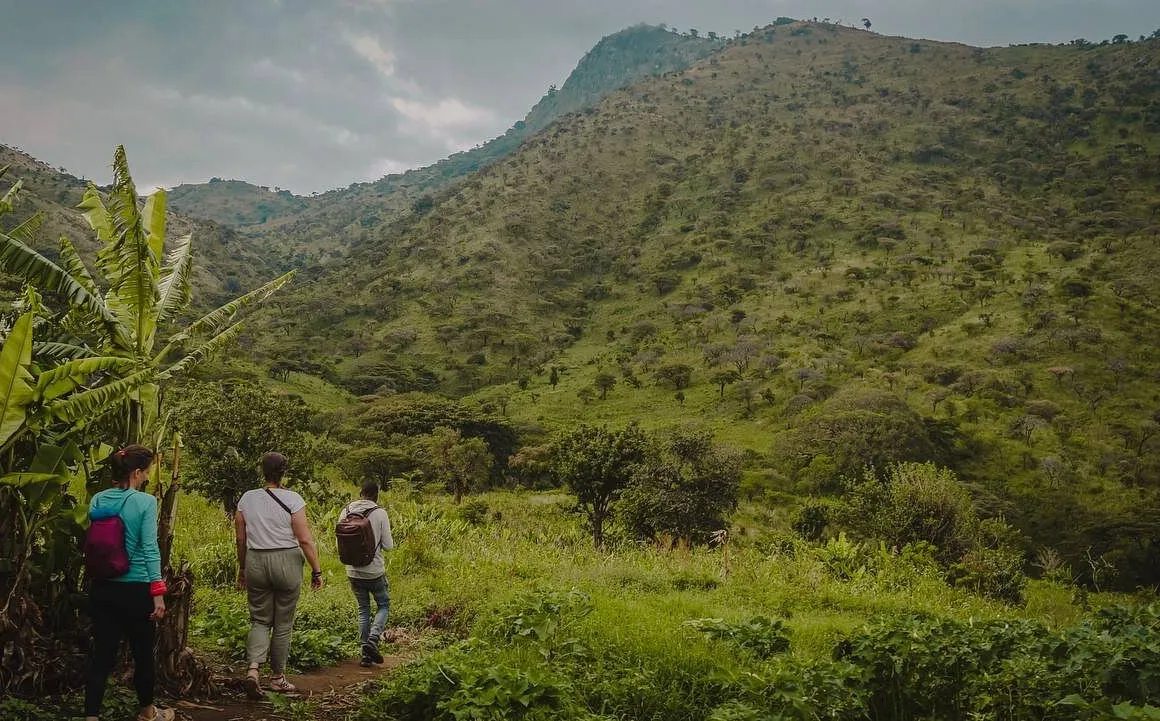 Hiking on the path of Mount Morungole