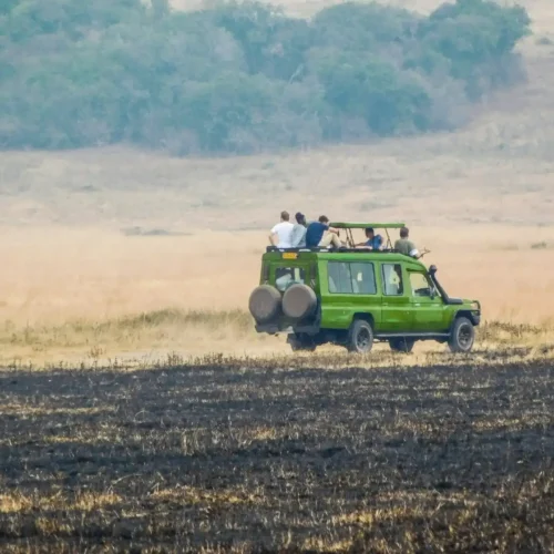 Game Drive Safari in Akagera NP