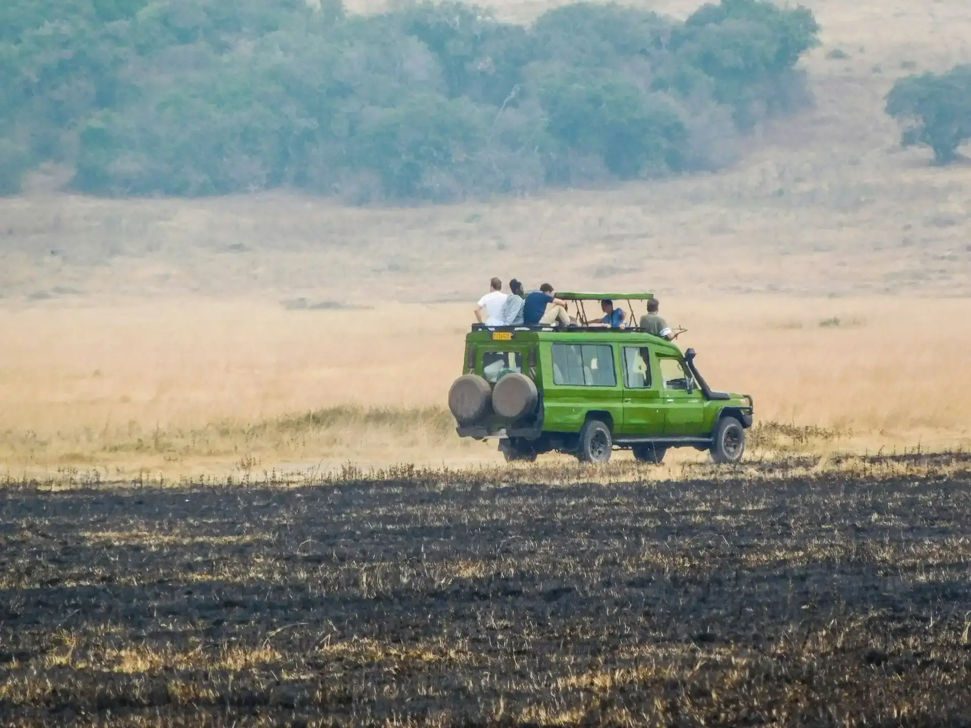 Game Drive Safari in Akagera NP