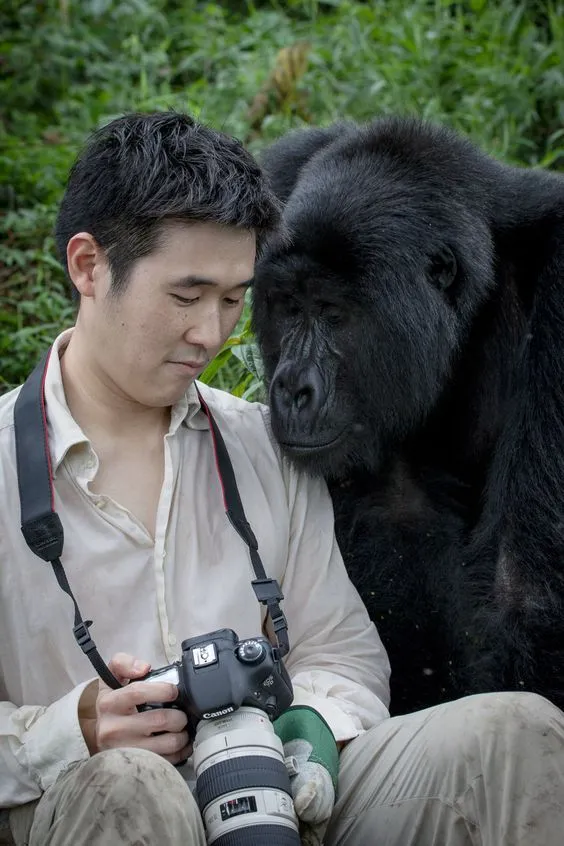 Bwindi Gorilla Safari
