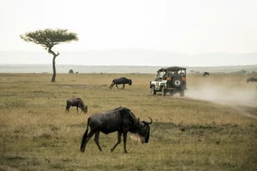 Maasai Mara Game Park in Kenya