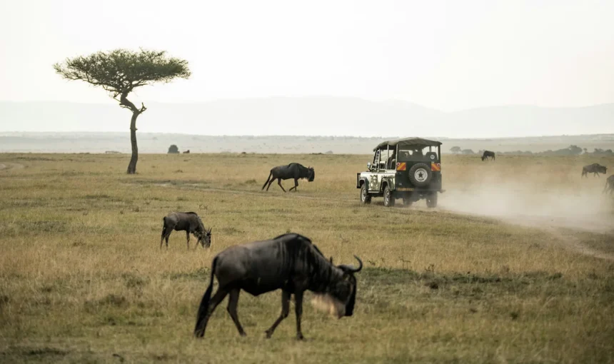 Maasai Mara Game Park in Kenya