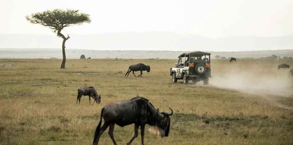 Maasai Mara Game Park in Kenya