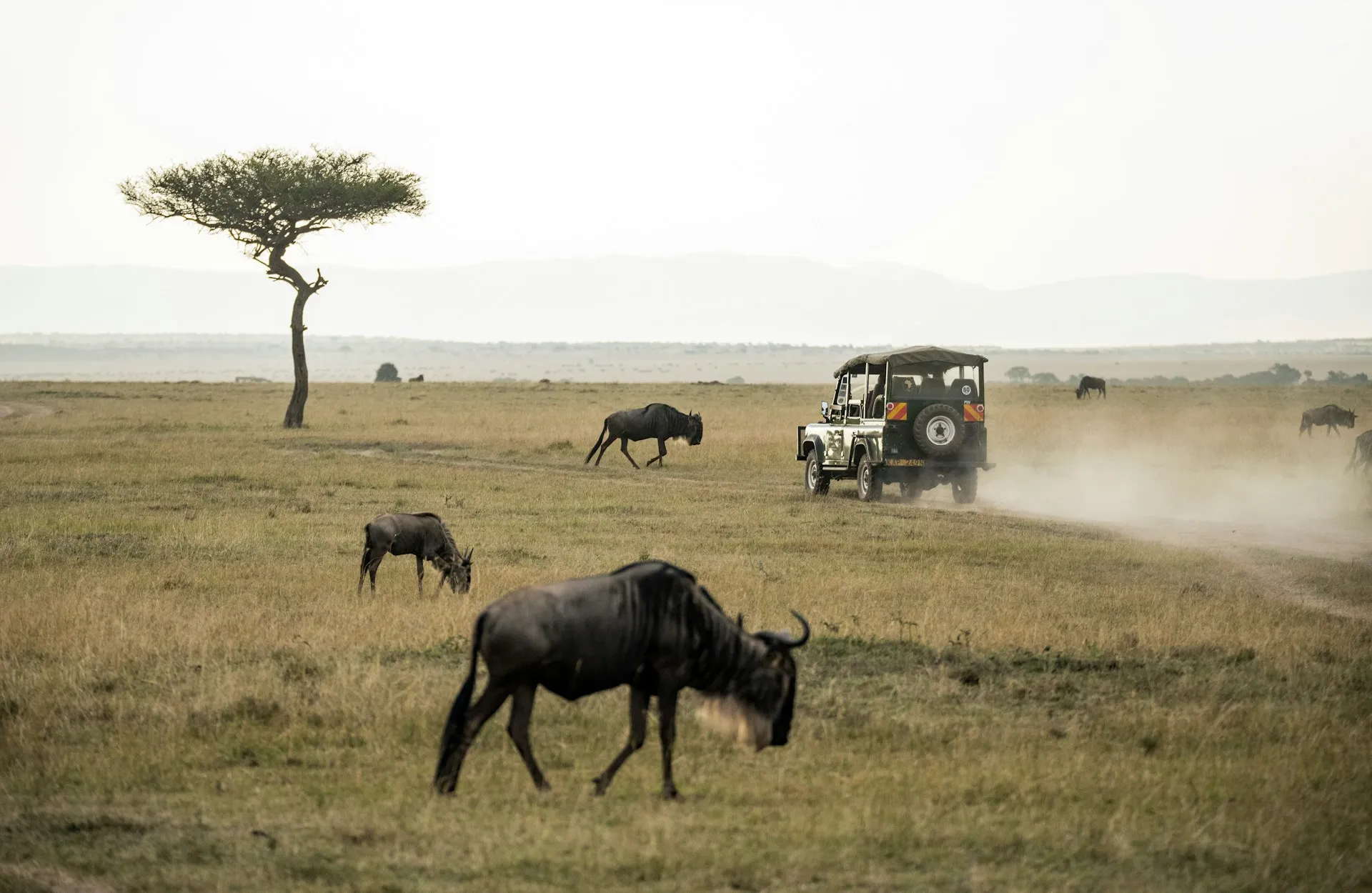 Maasai Mara Game Park in Kenya