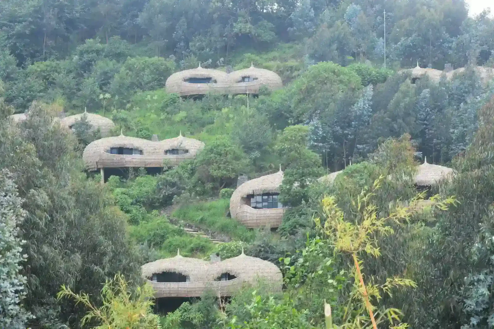 Luxury stays on your Gorilla Safari in Volcanoes NP