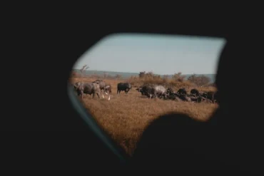 Wide-angle view of a safari vehicle at an East African border post during a multi-country safari transfer.