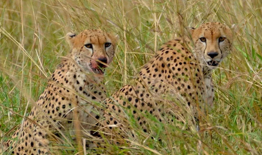 Kidepo Valley National Park – Uganda Tours & Accomodation