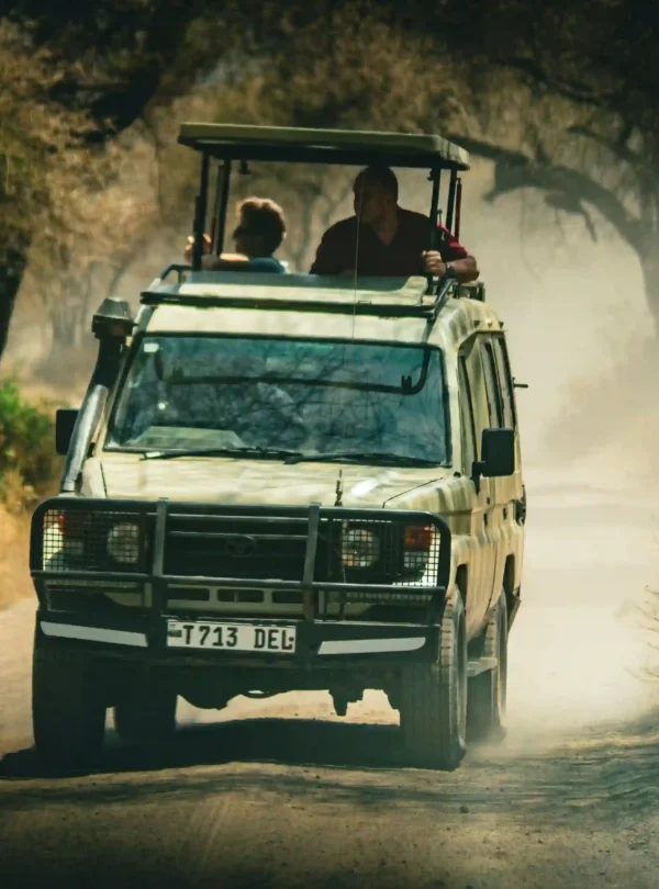 Budget Tours in Uganda