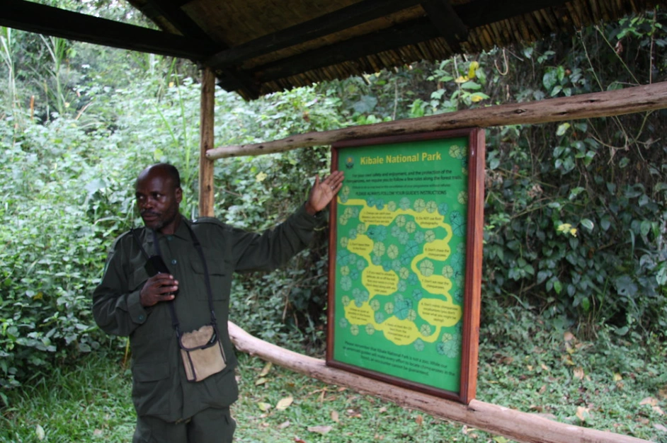 UWA guide in Kibale NP