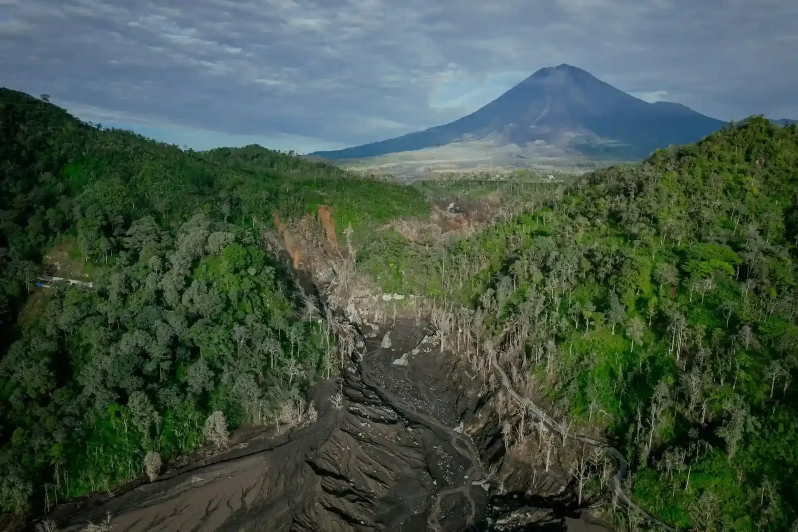 The Kigali to Bwindi route passes through Rwanda’s hills before entering southwestern Uganda.
