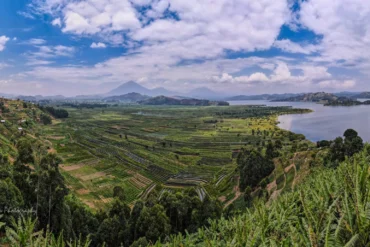Wide-angle view of Lake Mutanda with the Virunga volcanoes rising behind it.