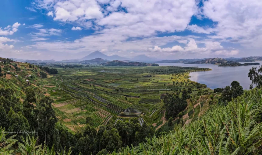 Wide-angle view of Lake Mutanda with the Virunga volcanoes rising behind it.