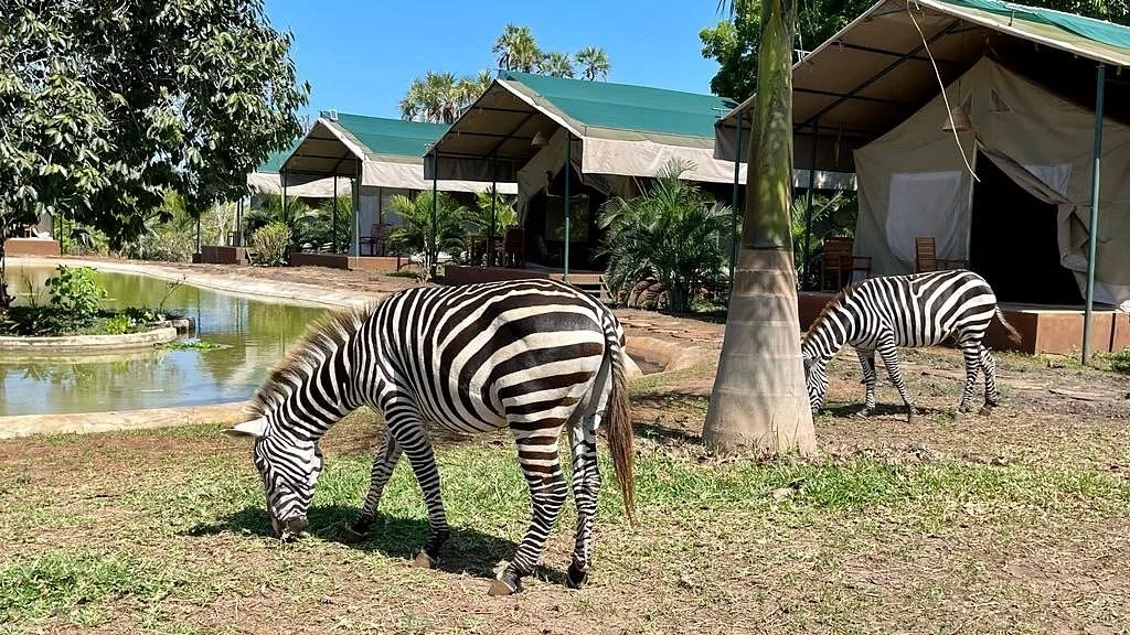 Accommodation near Amboseli