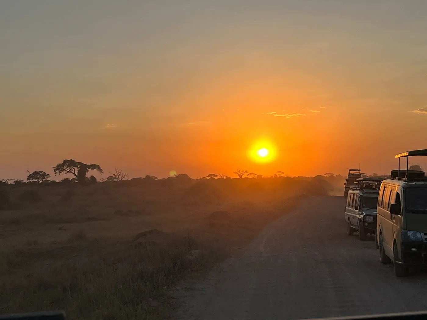 Amboseli evening Game drive