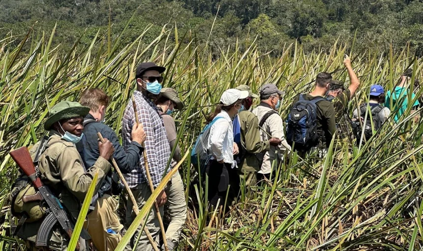 tourists-in-kahuzi-biega