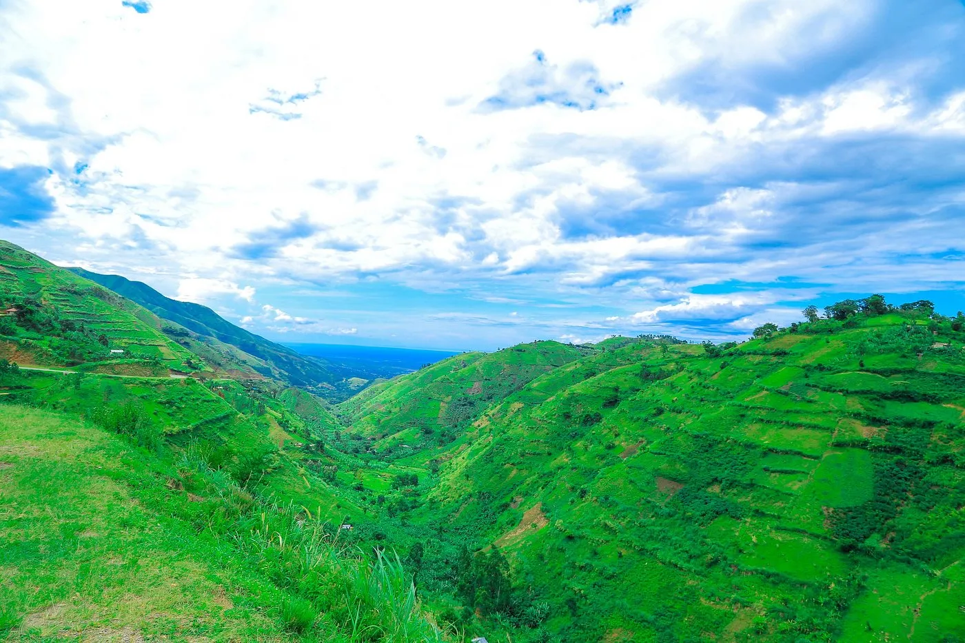 Semuliki walks are usually lowland forest walks, where humidity, mud, birdsong and patience shape the experience.