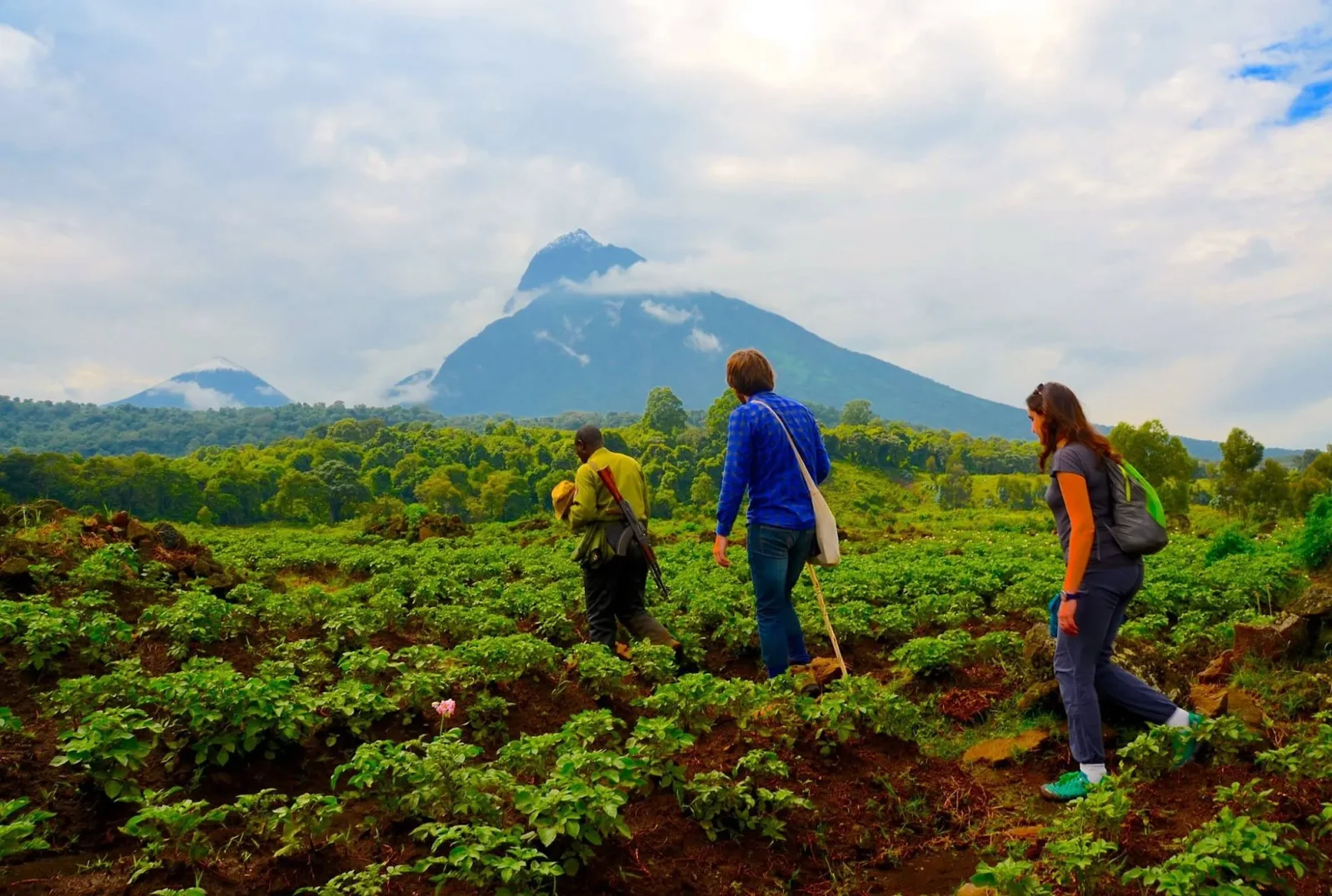 gorilla-trek-in-virunga