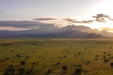 Wide-angle view of savannah grassland in Pian Upe Game Reserve with Mount Kadam in the distance.