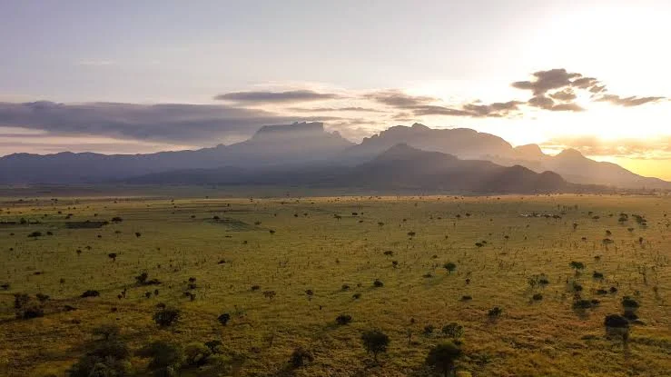 Wide-angle view of savannah grassland in Pian Upe Game Reserve with Mount Kadam in the distance.