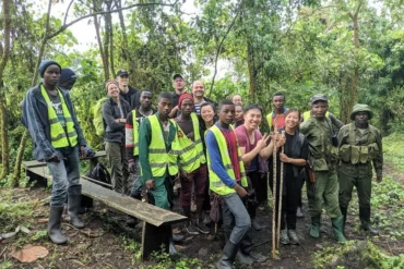 on-a-virunga-safari
