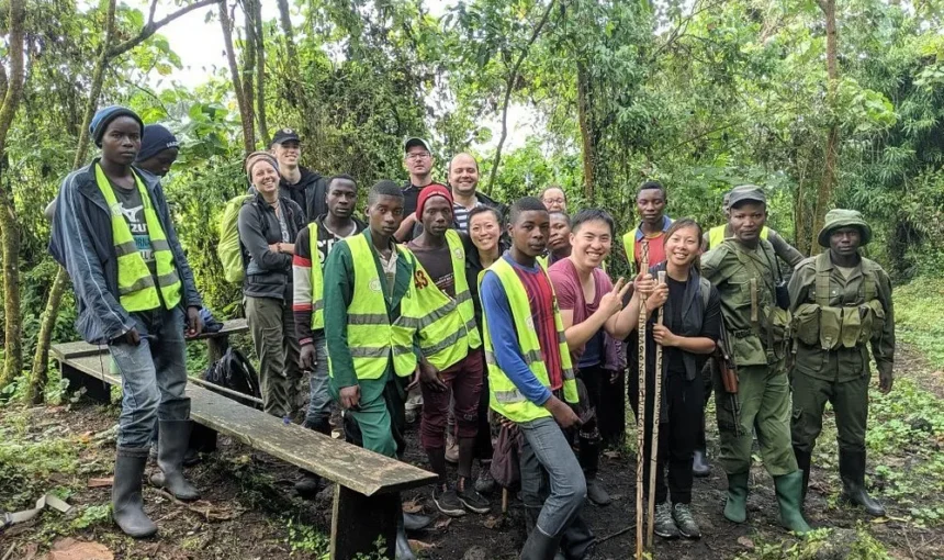 on-a-virunga-safari