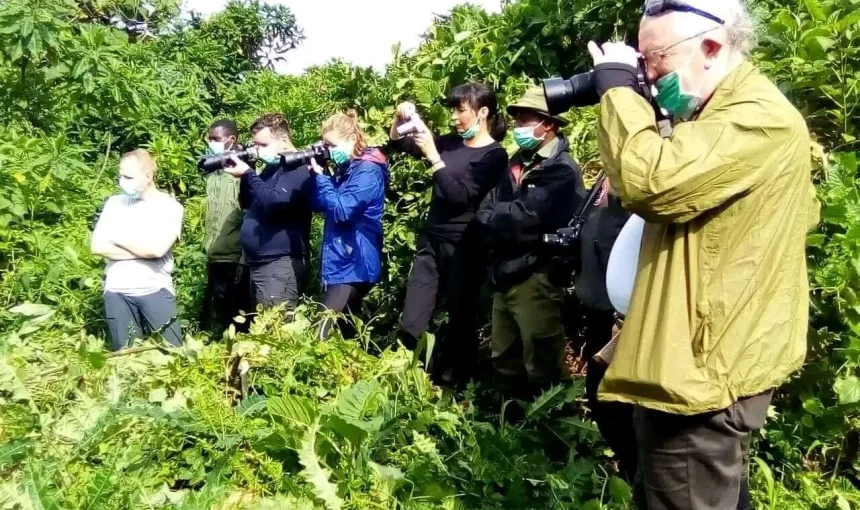 gorilla trekking in Virunga NP