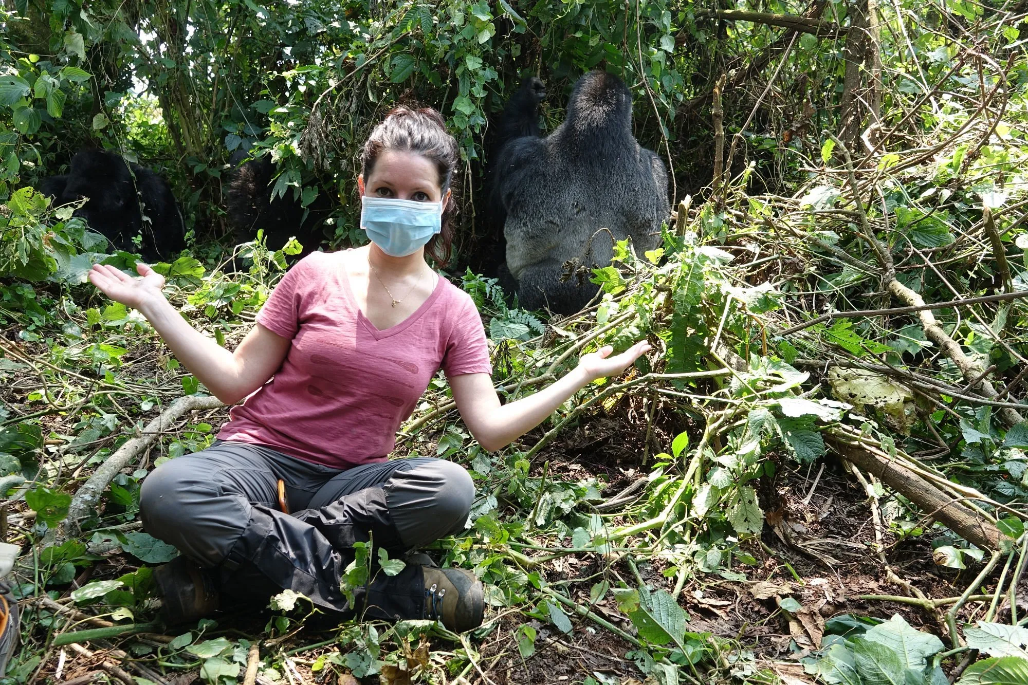 this-is-how-close-you-get-to-gorillas