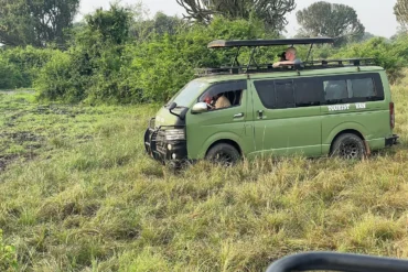 Murchison Falls is defined by the Nile, open savanna, and one of Uganda’s most dramatic natural landmarks.